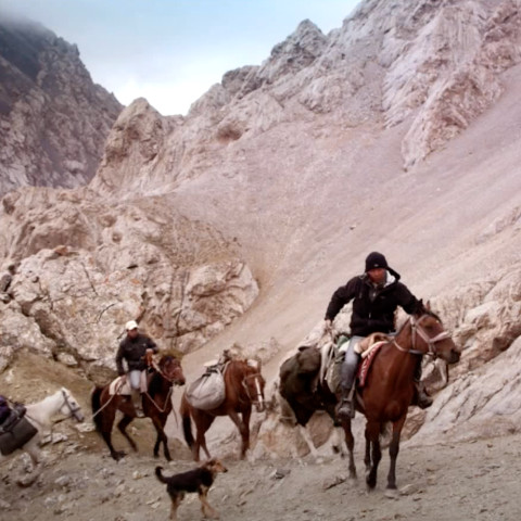 true appaloosa kyrgyzstan