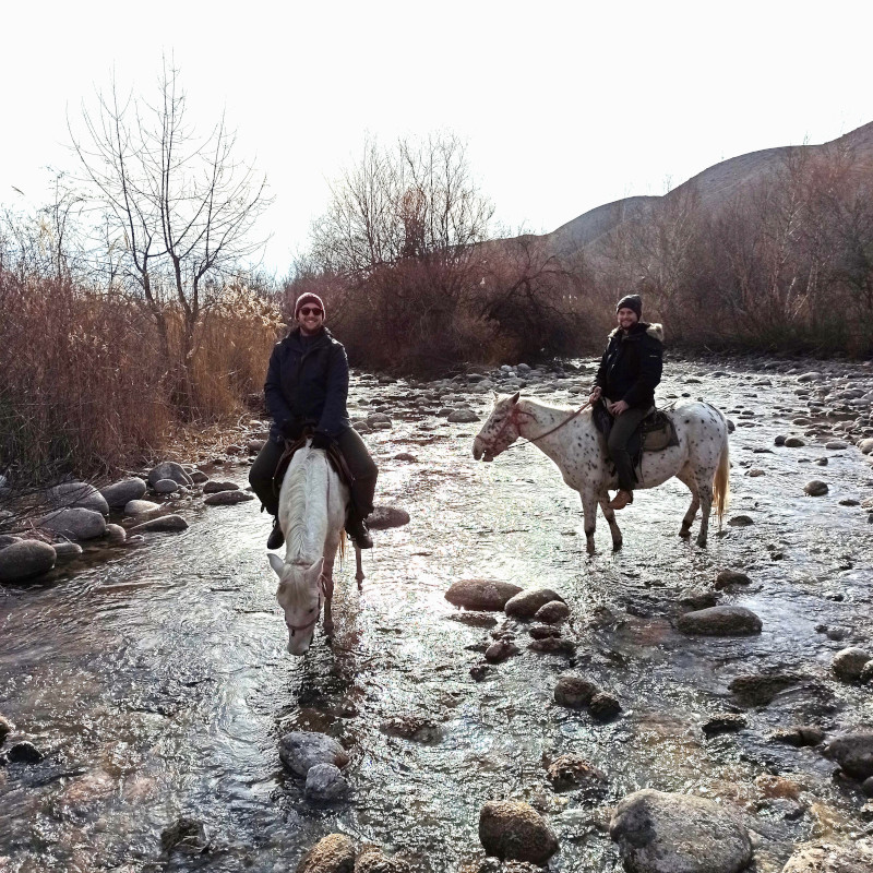 rando cheval kirghize