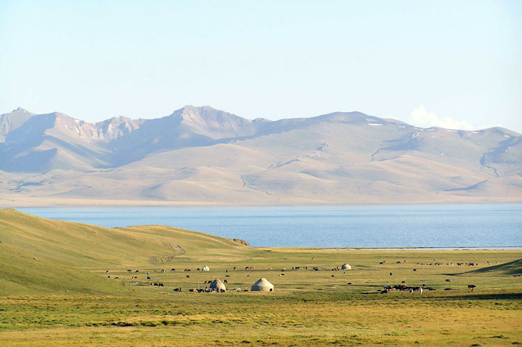 cheval-son-kul-kirghizistan