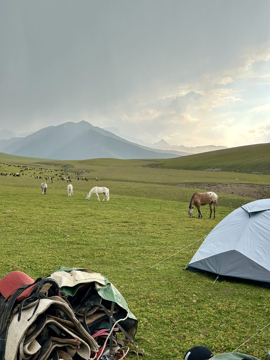 Camp de tentes et chevaux en liberté dans les jailoos kirghizes