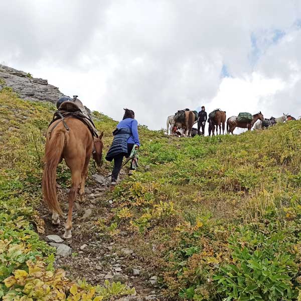 trek-rando-cheval-kirghizistan